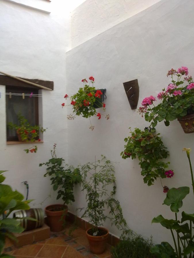 Casa Los Tres Aires Ель-Росіо Екстер'єр фото